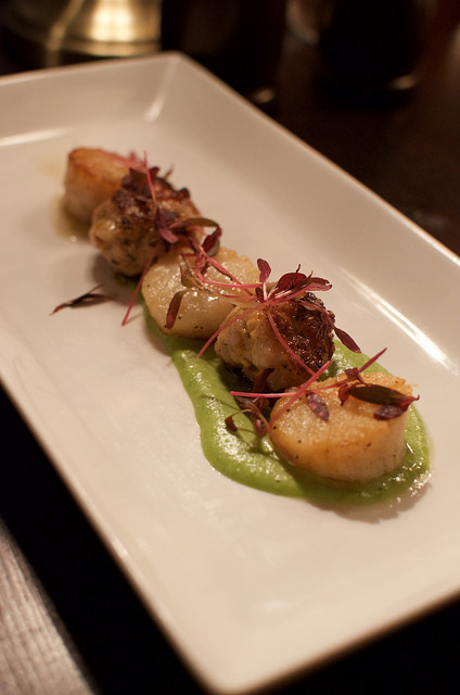 seared scallops at the Ship Tavern - review