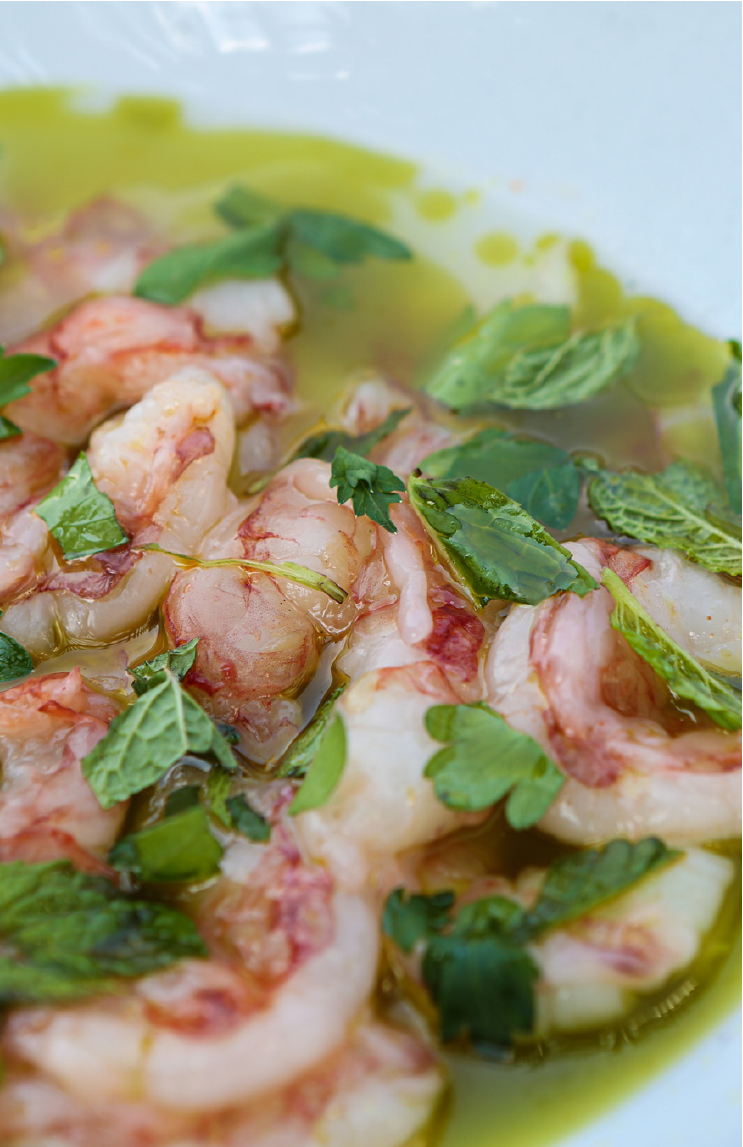 Ruby Red Shrimp