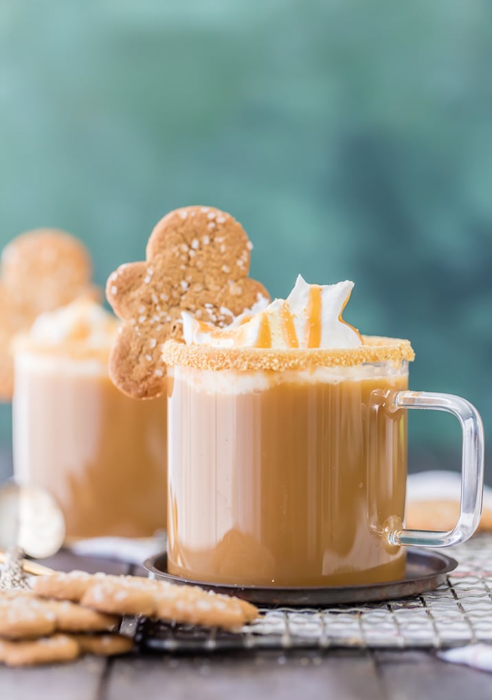 slow-cooker-gingerbread-latte-4-of-10.jpg