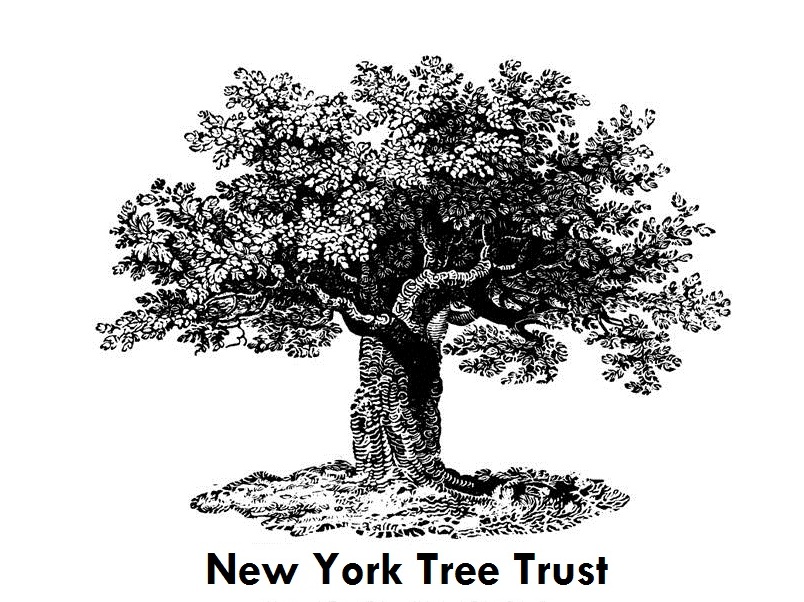 NY Tree Trust