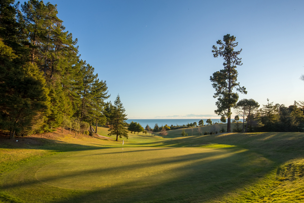 “Tasman Golf Course”的图片搜索结果