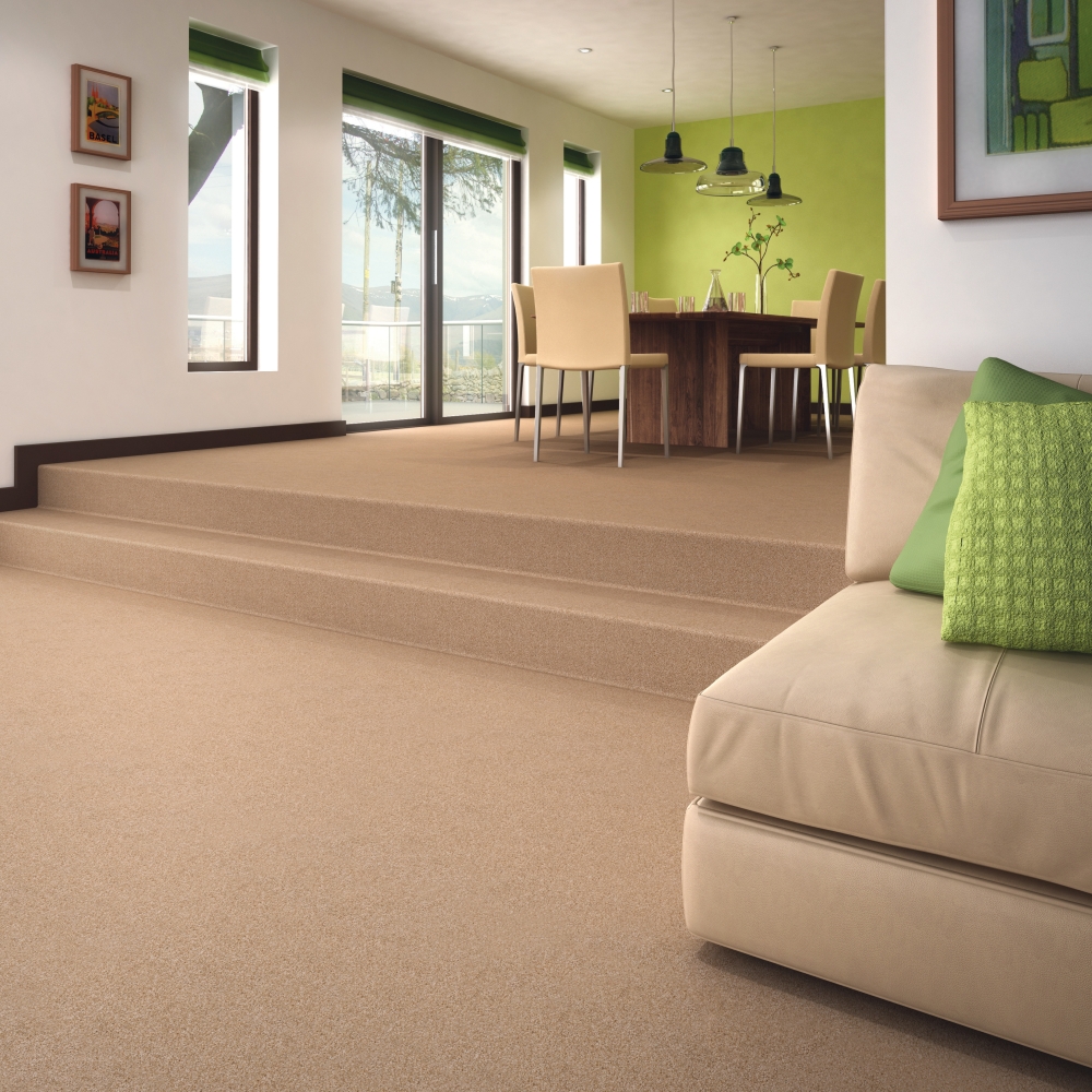 Carpet Cleaning Axiom Floor Care