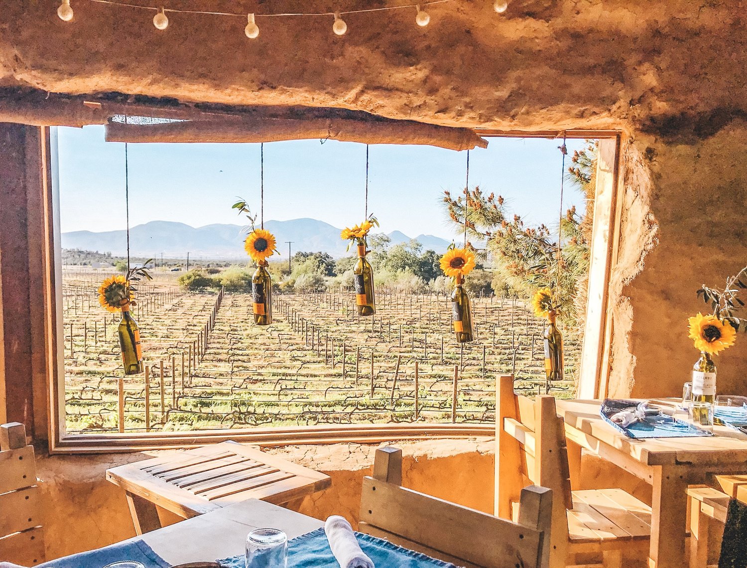 acme real estate interior blog road trip los angeles valle de guadalupe Deckman's at El Mogor Restaurant in Valle de Guadalupe | Ensenada | Valle Food — With Love, Paper and Wine