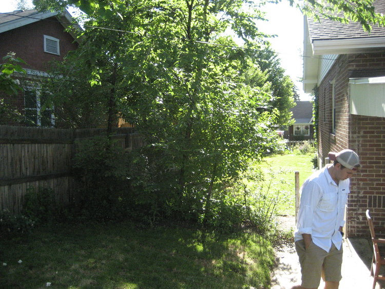 Before image of our side yard at Flip 1