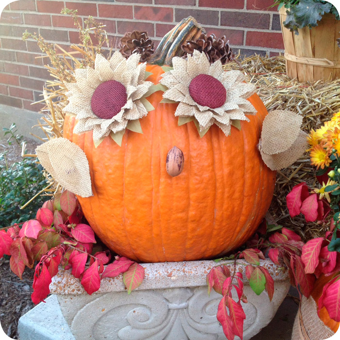 Pumpkin Decorating Ideas + Delicious Fall Treat — Eckert's Family Farms ...