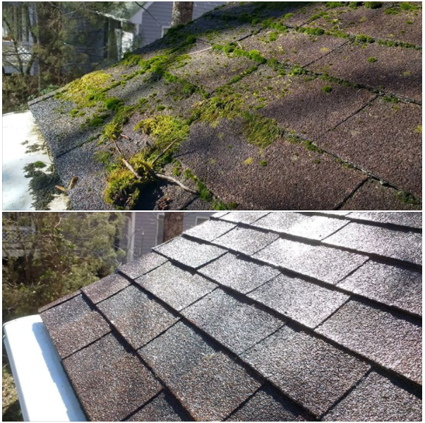 Roof Moss Removal In Redmond