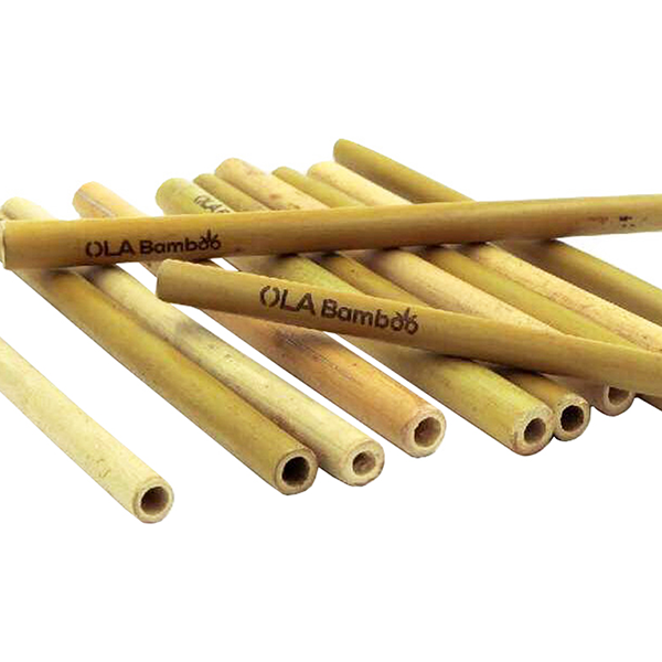 OLA Bamboo - Pailles en bambou  CAD$ 12,99