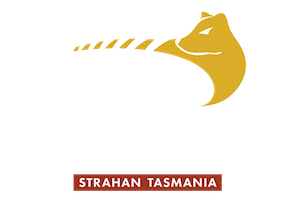 World Heritage Cruises - Strahan Tasmania