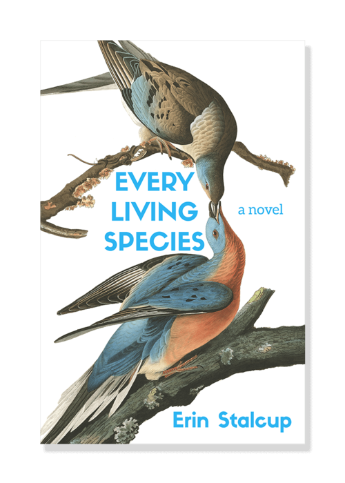 Image result for Erin Stalcup, Every Living Species,