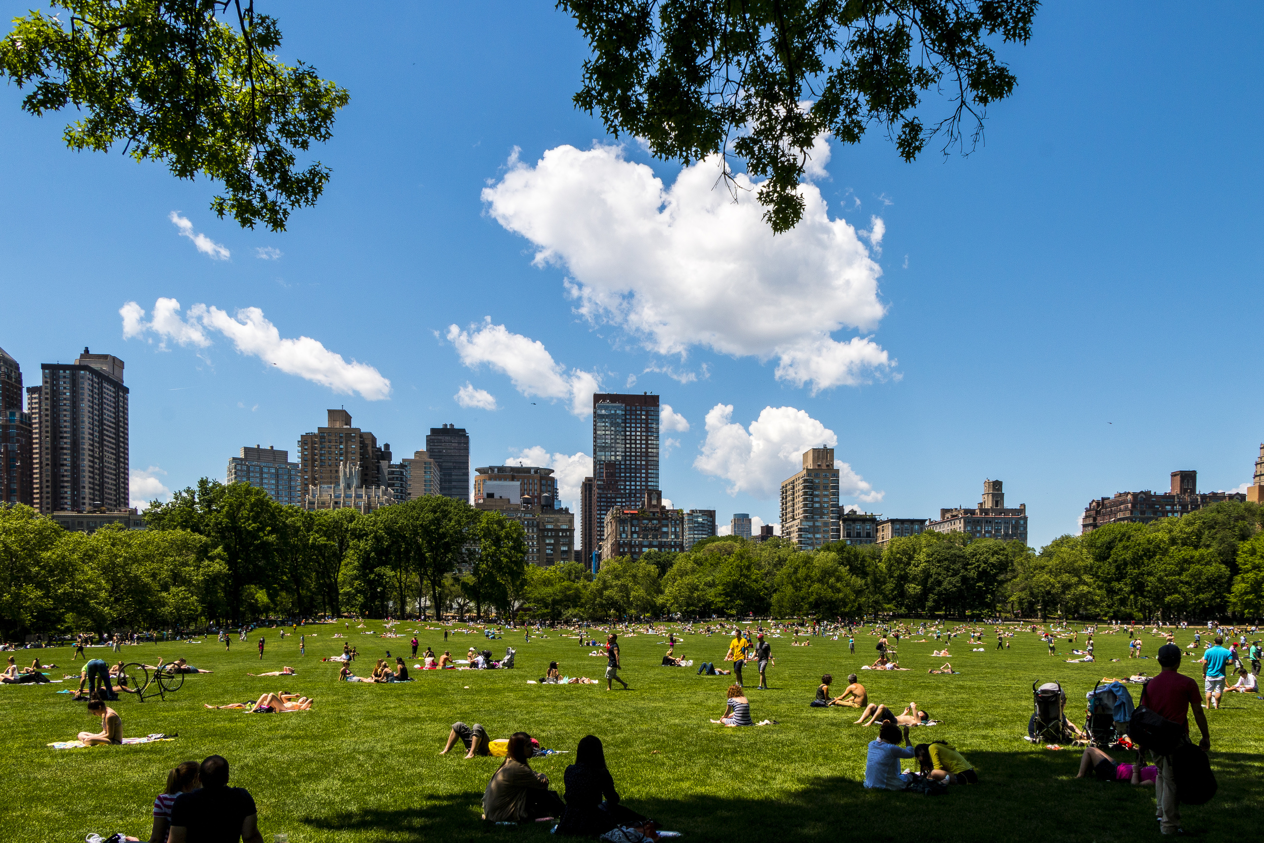 Featured Photo - Central Park — CityNeighborhoods.NYC