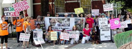 No Kill Animal Shelter in Stamford CT
