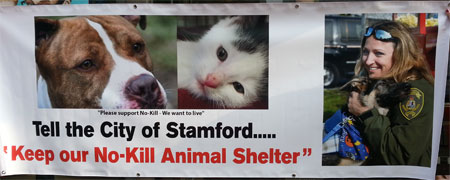 rally for a no kill shelter stamford ct