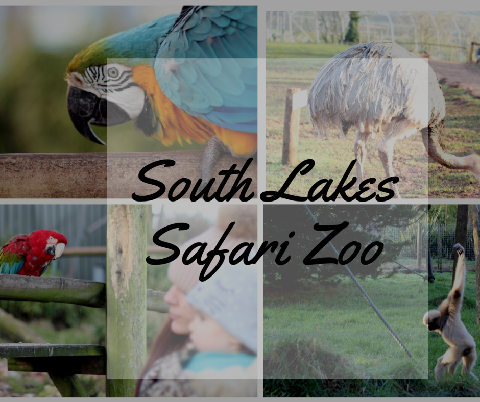 south lakes safari zoo map 2021