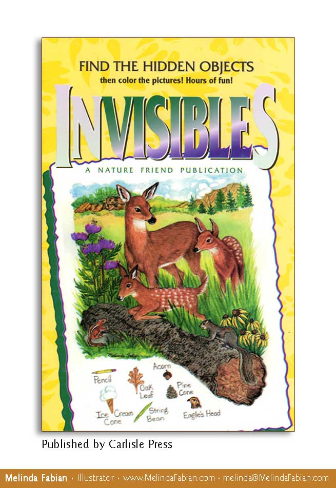Invisibles hidden object book for children.