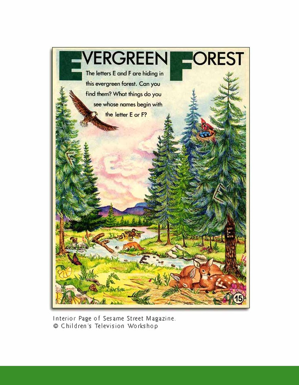Evergreen Forest Printed in Sesame Street Magazine