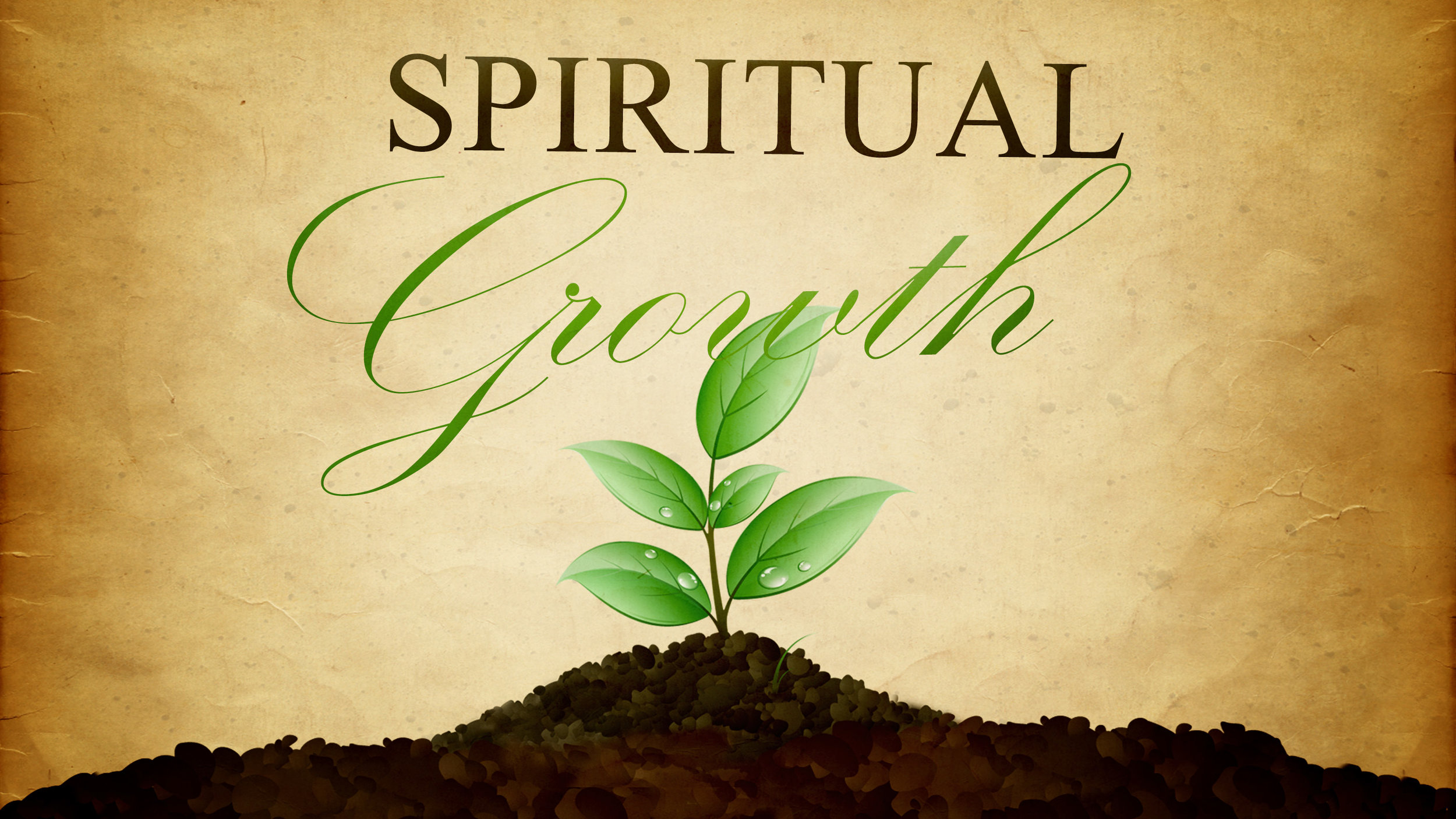 how to activate spiritual growth in your christian life. the divine keys and principles to enable you connect to your growth in your christian life. how to transform in your christian life. the methodology of christian growth and strategies for Christians and believers to mature in their christian life.