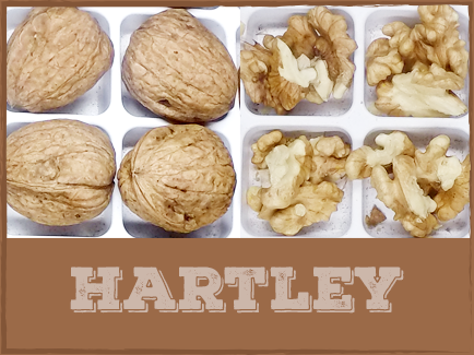Image result for hartley walnut