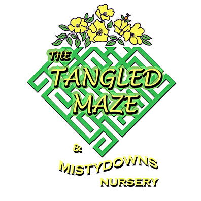TangledMaze-logo.jpg