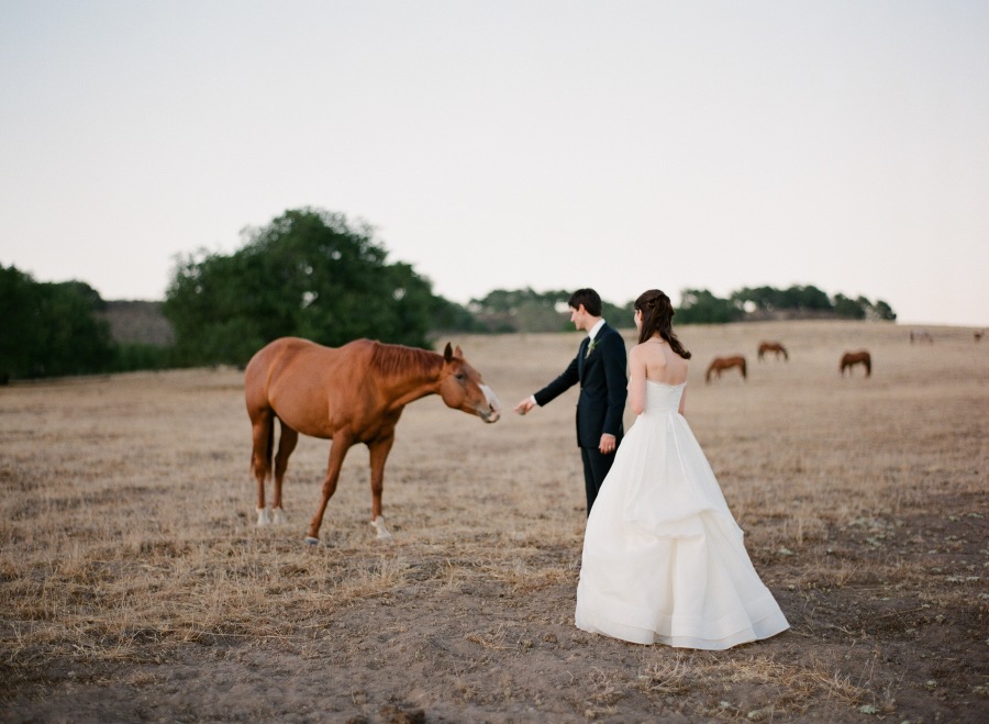 www.santabarbarawedding.com | Soigne Productions | Michael and Anna Costa | Zaca Creek Ranch | Bride and Groom and Horse
