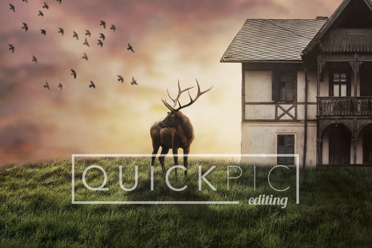 Fantasy digital background for making composites — Quickpic editing