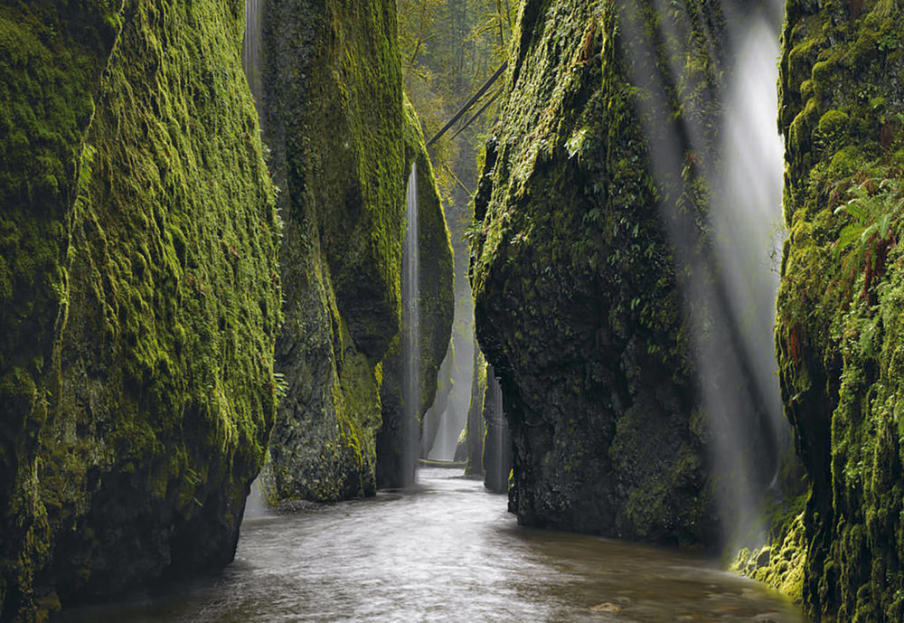 Oneonta-Gorge-OR