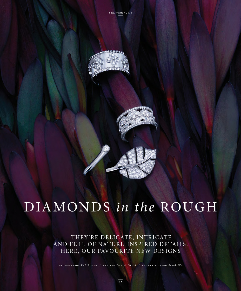  "Diamonds in the Rough."&nbsp; Birks1879,&nbsp; Fall/Winter 2015 .  Art Direction: Nevien Assani. Photo: Rob Fiocca/FUZE Reps.&nbsp;Styling: Daniel Onori/Plutino Group 