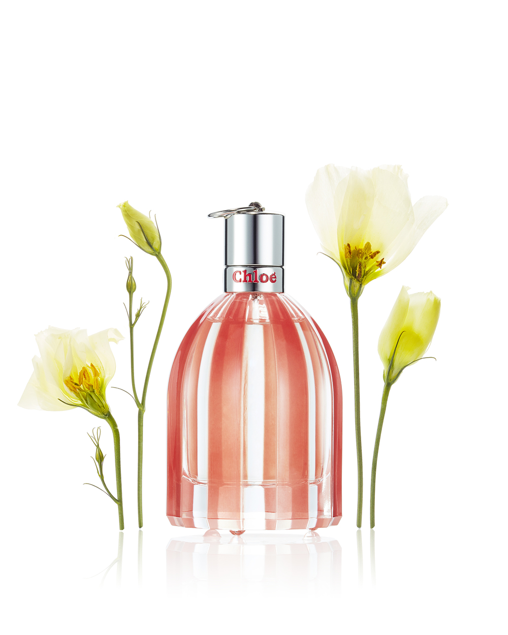  "Bottled Blooms." Photo: Paul C. Product Styling: Daniel Onori/Plutino Group 