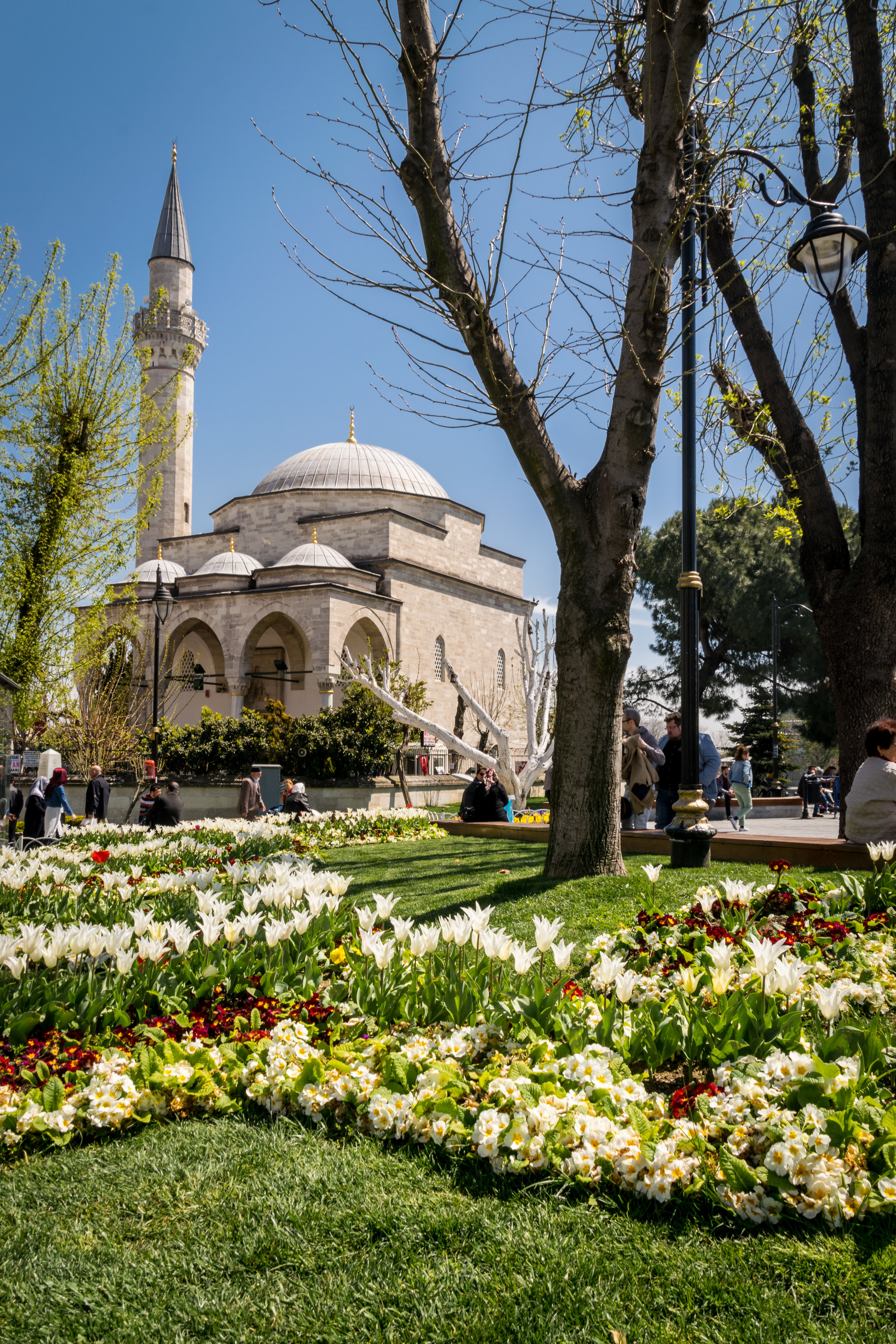 Welcome to Istanbul_flowers-1.jpg