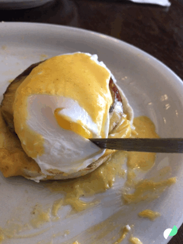 Image result for Eggs Benedict Day gif