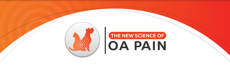 The New Science Of OA Pain