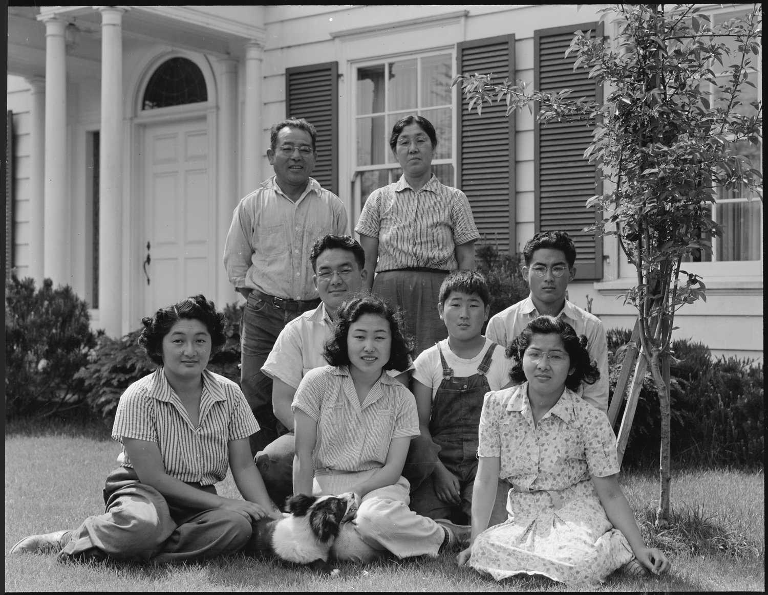  Mountain View, California. Members of the Shibuya family are pictured at their home before evacuation. The father and the mother were born in Japan and came to this country in 1904. At that time the father had 0 in cash and a basket of clothes. He later built a prosperous business of raising select varieties of chrysanthemums which he shipped to eastern markets under his own trade name. Six children in the family were born in the United States. The four older children attended leading California Universities. Evacuees of Japanese ancestry will be housed in War Relocation Authority Centers for the duration. 