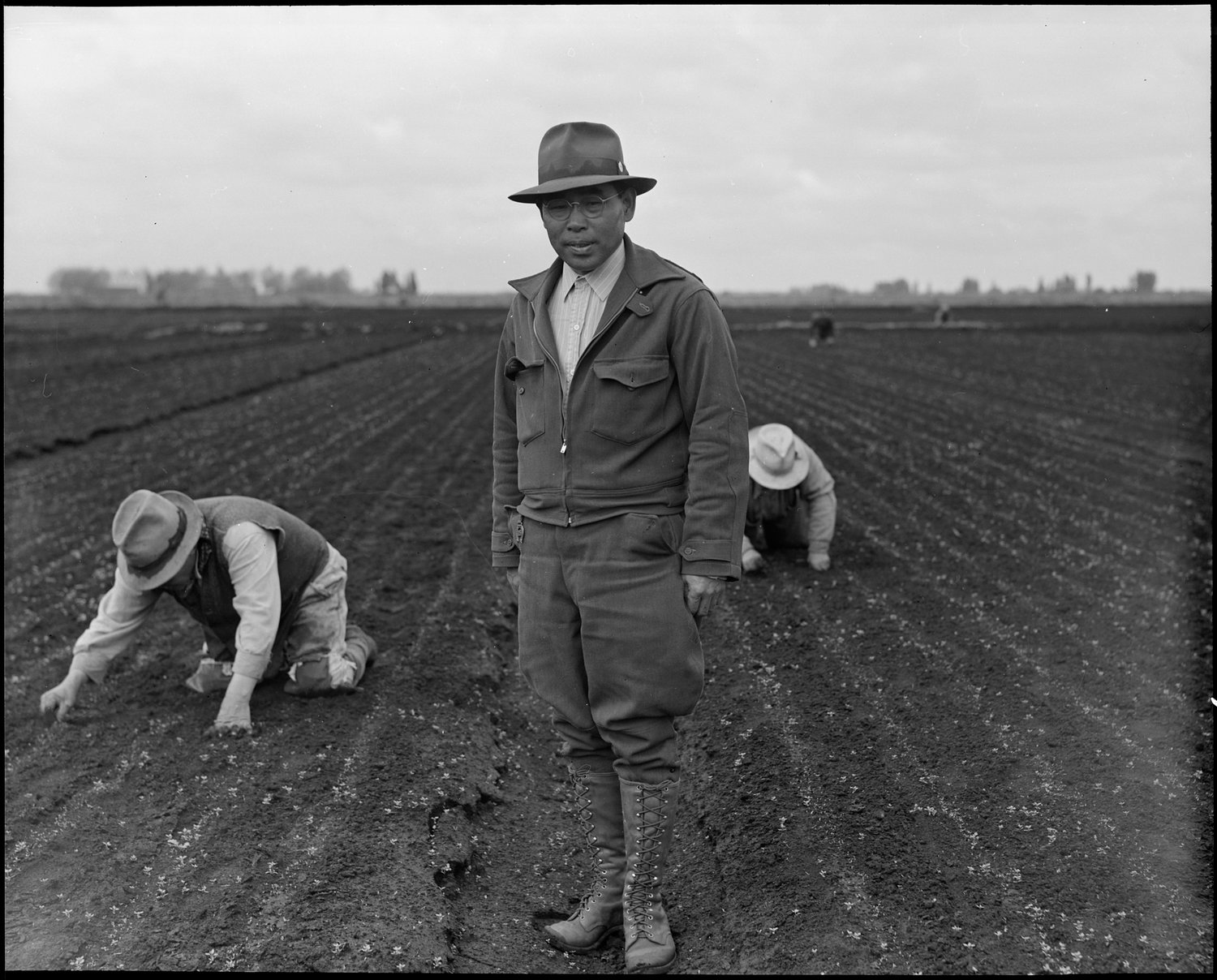  Stockton, California. Weeding celery field in the Delta region, prior to evacuation. Henry Futamachi, ranch manager, in foreground. Farmers and other evacuees of Japanese ancestry will be given opportunities to follow their callings in War Relocation Authority centers where they will spend the duration. 