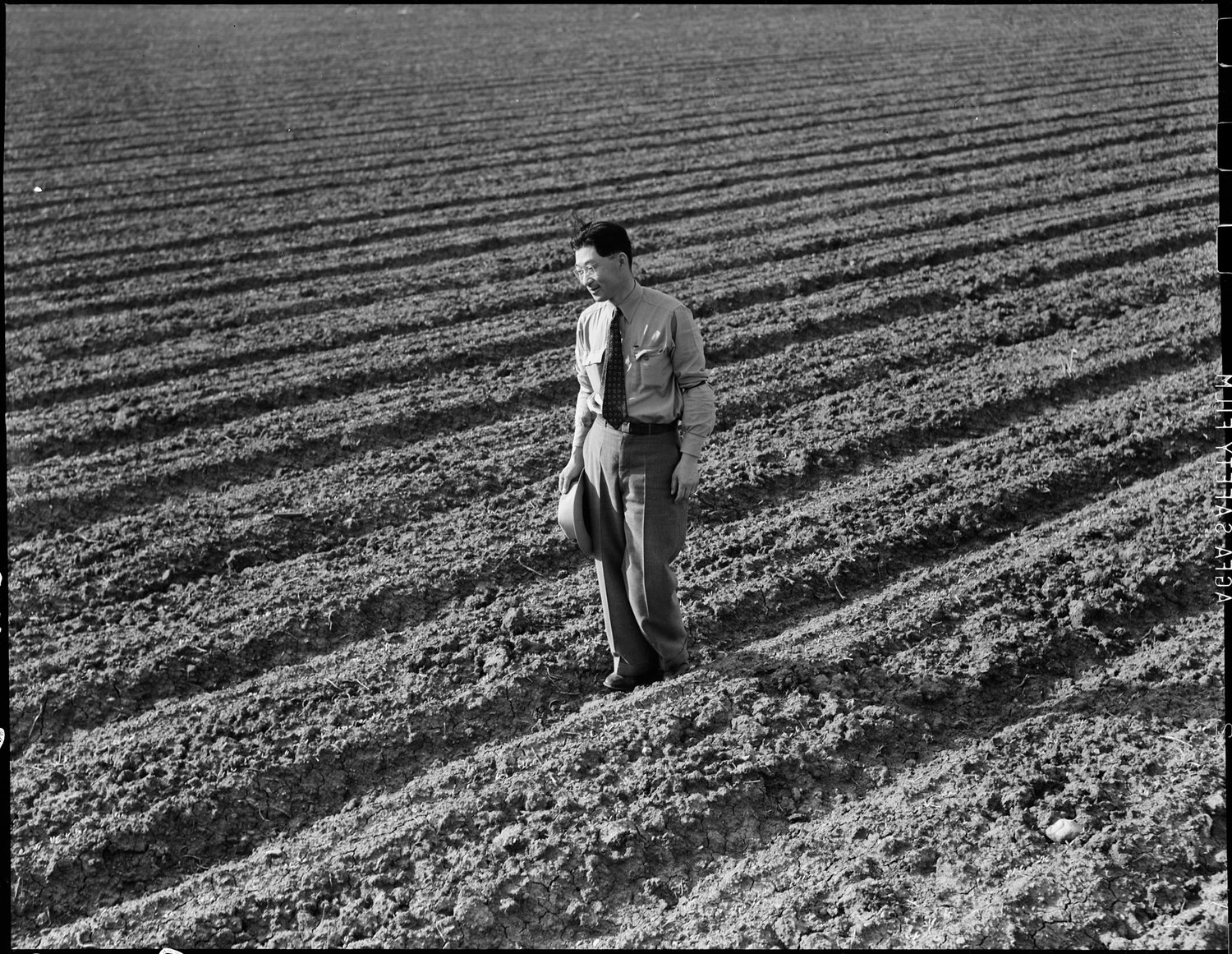  PRINT AVAILABLE Mountain View, California. Henry Mitarai, 36, in one of his sugar beet fields on his mechanized farm, prior to evacuation. His payroll ran as much as 8,000.00 a year. Farmers and other evacuees of Japanese descent will be given opportunities to follow their callings at War Relocation Authority centers where they will spend the duration. 