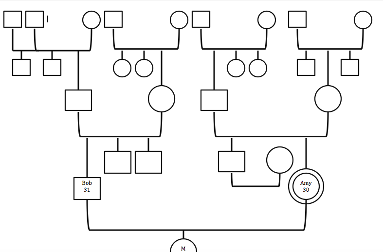 three-family-generation-genogram-edrawmax-template