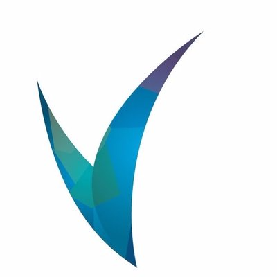Vinsi Company Logo