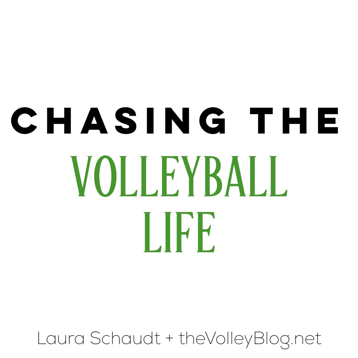 Chasing the Volleyball Life — the Volleyblog