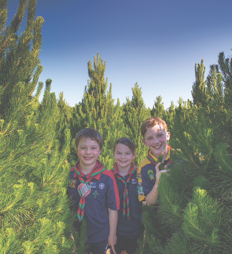  Ben and twins Abrielle and Micha inspect some of the trees the Baden Powell Park Scout Group will be selling this year. 