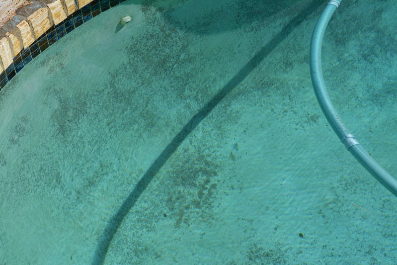Swimming Pool Black Algae 