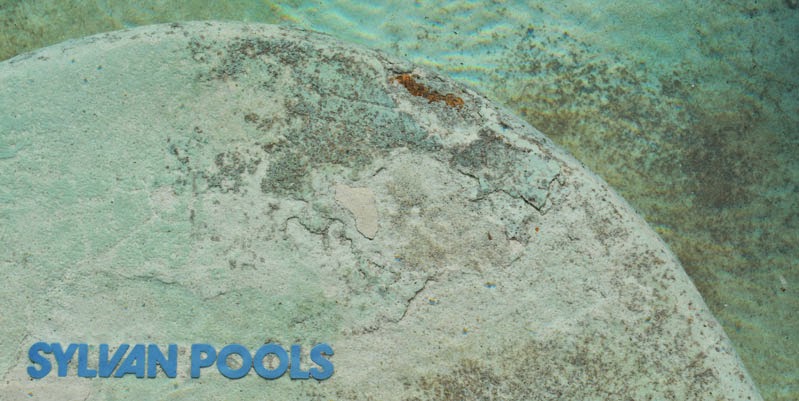 Swimming Pool With Cracked Plaster
