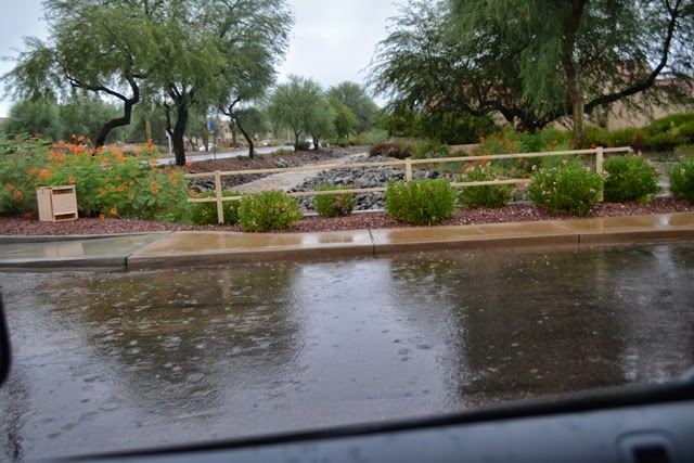 Phoenix Flooding #Monsoon2014