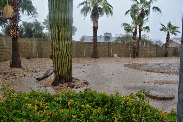 Phoenix Flooding #Monsoon2014