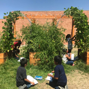 school garden classrooms