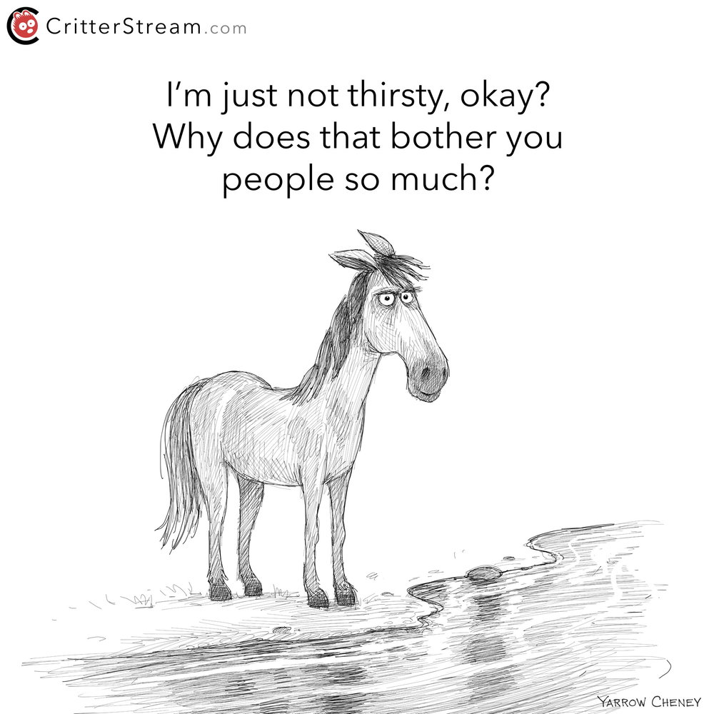 Image result for you can lead a horse to water