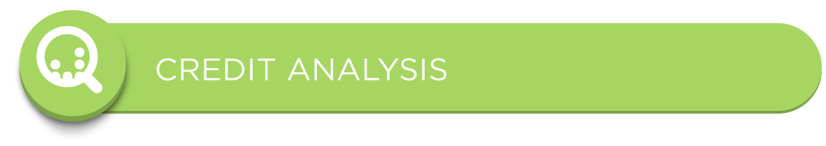Solutions for Credit Analysis
