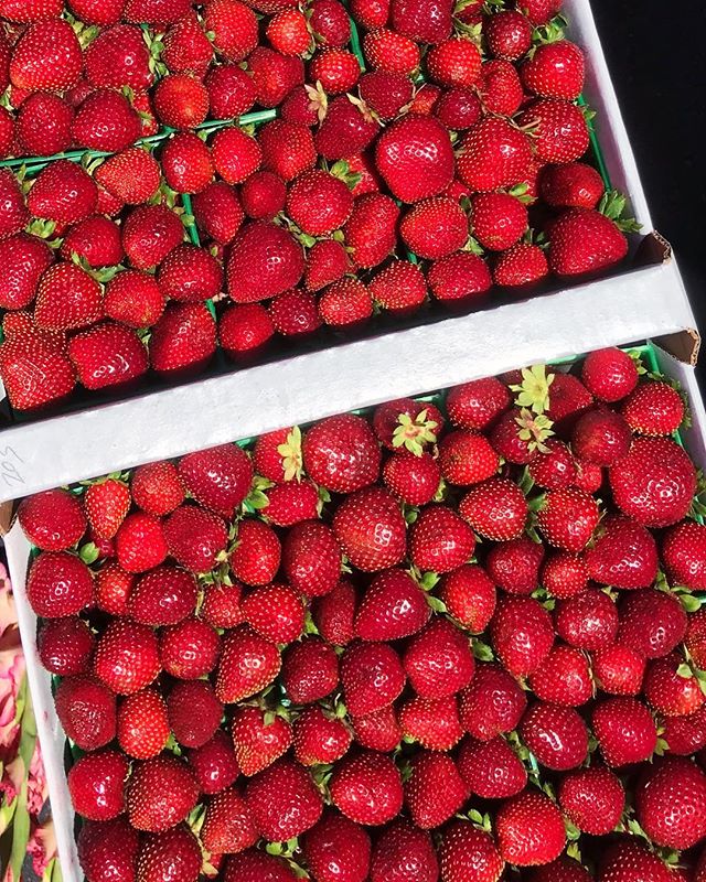 Hope you’re having a berry delicious Sunday! �?��?��?�Picked up these beauts today. Coming soon to your pancakes. #brunch #dtla #pyt