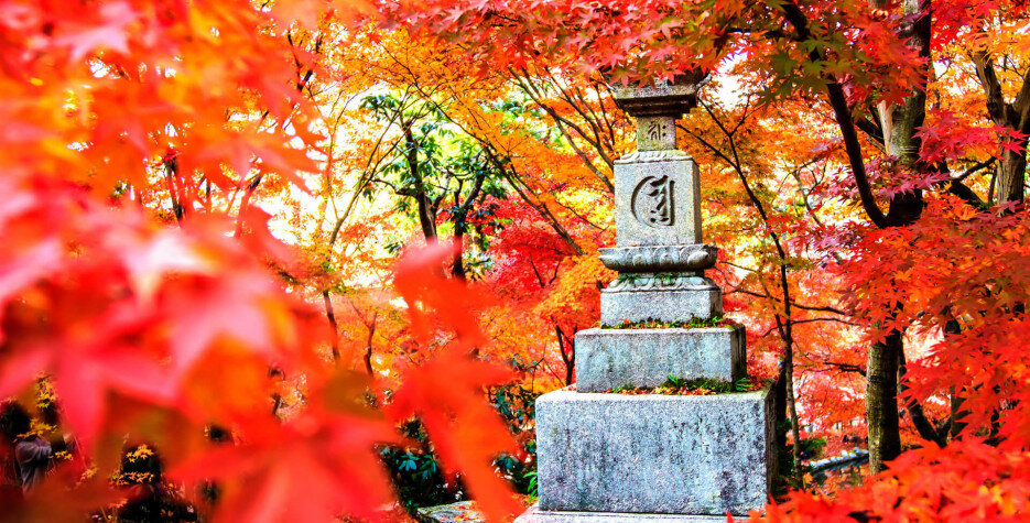 japan_autumn.jpg