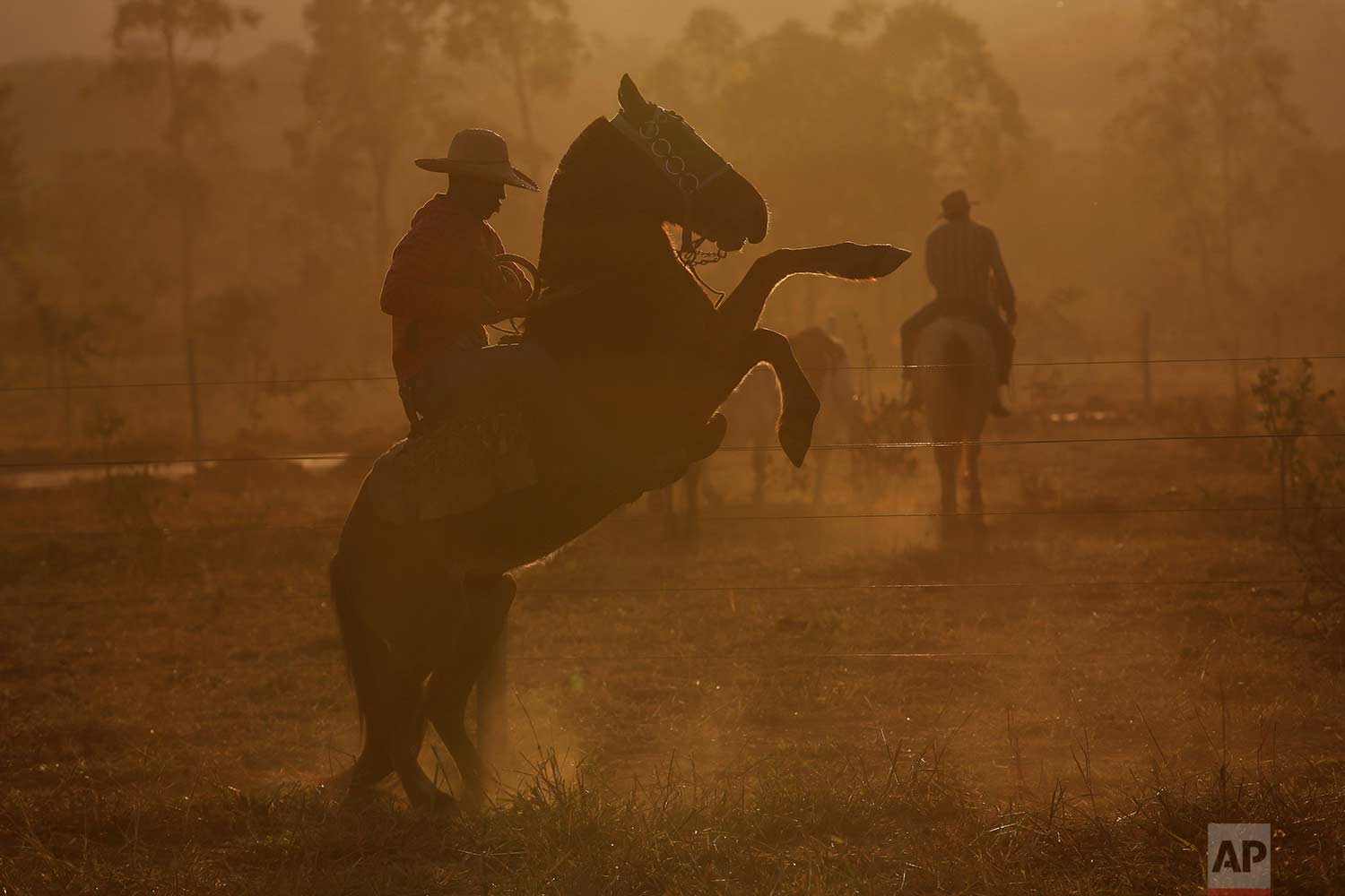 In this July 22, 2017 photo, a cowboy rears up his horse before the ascent to the Serra da Boa Vista, during the Ox Cart Festival in Vazante, Minas Gerais state, Brazil. (AP Photo/Eraldo Peres)