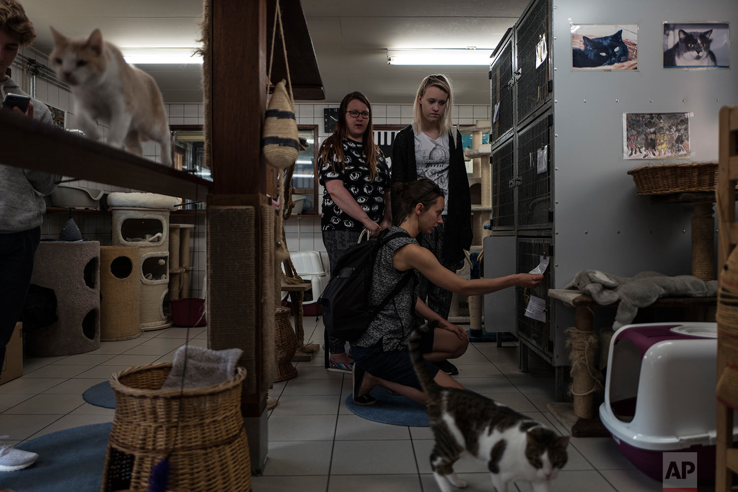  In this Thursday, Aug. 3, 2017 photo, tourists from Finland visit the Catboat shelter in Amsterdam, Netherlands. (AP Photo/Muhammed Muheisen) 