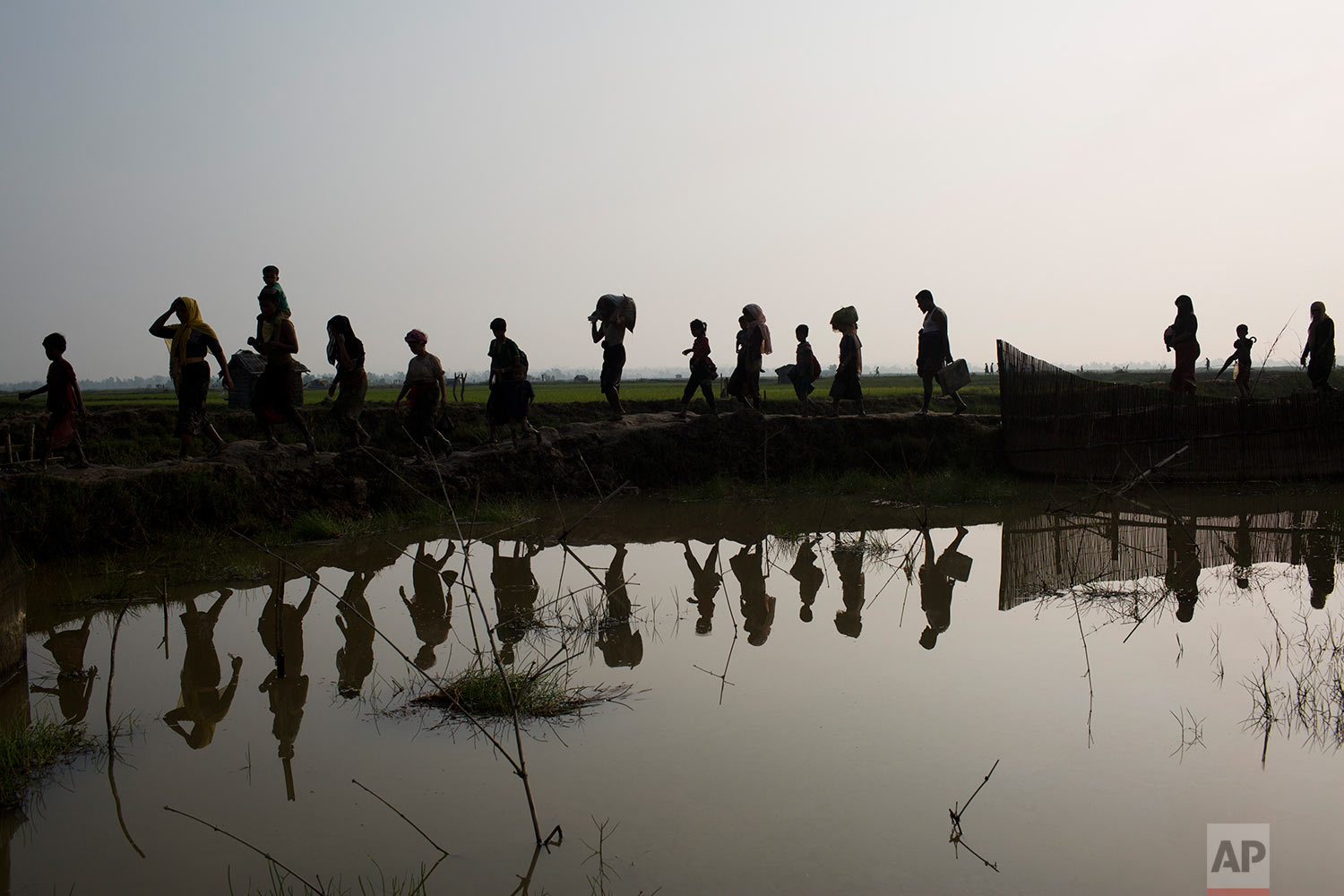 Members of Myanmar's Rohingya ethnic minority walk through rice fields after crossing the border into Bangladesh near Cox's Bazar's Teknaf area, Tuesday, Sept. 5, 2017. (AP Photo/Bernat Armangue)