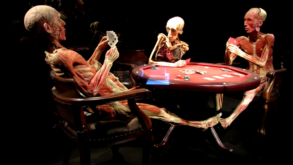 Source: http://www.discorsivo.it/magazine/2013/11/06/body-worlds-di-gunther-von-hagens-a-bologna/ Read about the exhibit here (in English): https://africanahgirl.com/2015/03/31/macabre-freak-exhibition-or-a-study-of-the-human-anatomy/